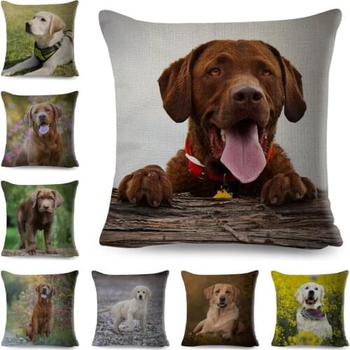 Brown Labrador Pillowcase Decor Cute Dog Pet Animal Printed Cushion Cover for Sofa Home Car Polyester Pillow Case 45*45cm