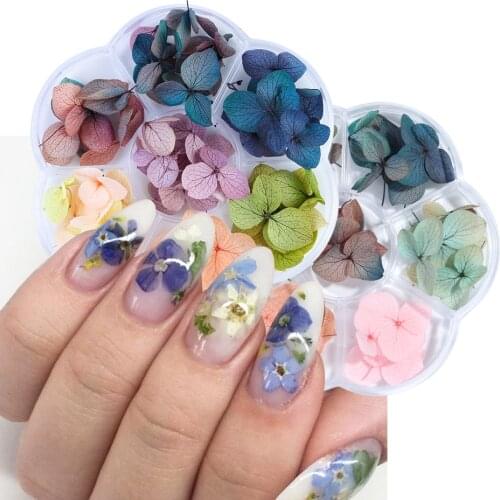 Dried Flowers Dry Plants Nail Art Decorations Pressed Flowers for Manicure Decor Small Daisy Rose Nail Accessories Lot GL1524