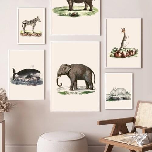 Zebra Elephant Rabbit Rhino Whale Jungle Ocean Nursery Wall Art Canvas Painting Posters And Print Decor Pictures For Living Room