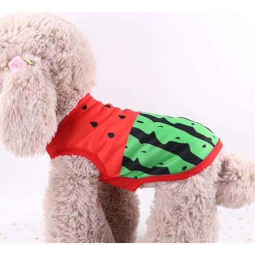 Cartoons Watermelon Pet Summer Vest Velvet Clothes for Small Dogs French Bulldog Puppy Dog for Dog Accessories