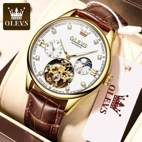 OLEVS Men Watch Tourbillon Automatic Self Wind Watch Mechanical Classic Hollow Waterproof Luminous Leather Band Wrist Watch