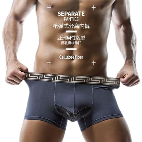 Hot Selling Summer Men s Modal Micro Elephant Trunk Underwear Ice Silk Breathable Mesh Pants U Convex Large Size Boxer Shorts