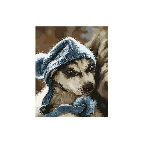 MaHuaf-X878 husky puppy animal painting 40x50cm Framed DIY oil painting by numbers on canvas hand painted picture home decor