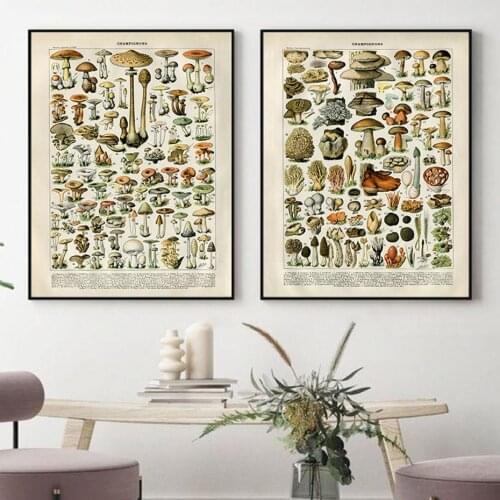 Palaeobios Plant Mushrooms Retro Posters Canvas Painting Artwork Wall Print Picture for Living Room Modern Interior Home Decor