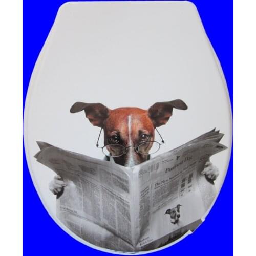 Toilet lid cover standard closing 2020 high quality colorful toilet seat cover set hot selling fashion bathroom pp toilet seat