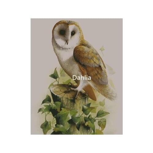 Barn Owl Animals Cross Stitch Kits Top Quality Embroidery Sewing kit Needlework DIY Living Room 14CT Unprinted Decor Handmade