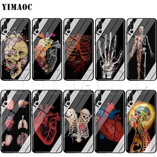 YIMAOC Human Anatomy Glass Case for Huawei Honor Mate 7A 8X 9 P10 P20 P30 Y6 Y9 P smart lite Pro 2018 2019