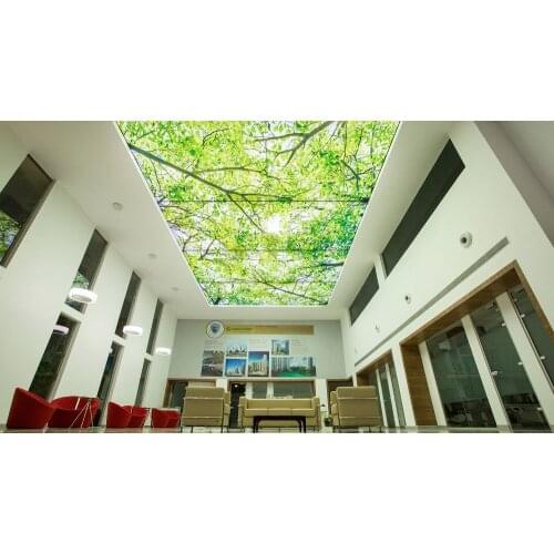 1.5 -5.0 Meters width pvc film, with related tools , stretch film rolls cutting machine and accessories