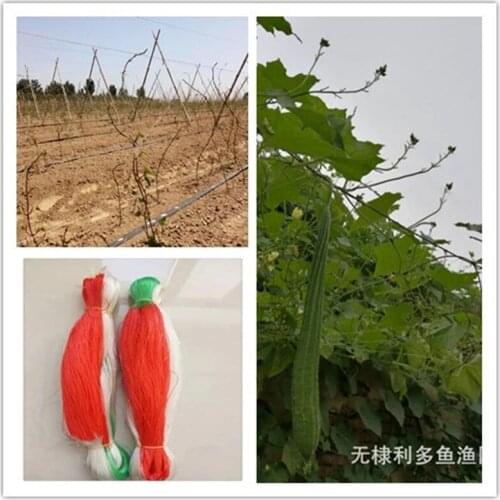 Yam climbing vine net bean net cucumber net Plant clim Horticultural equipment plant support and protective equipment plant cage
