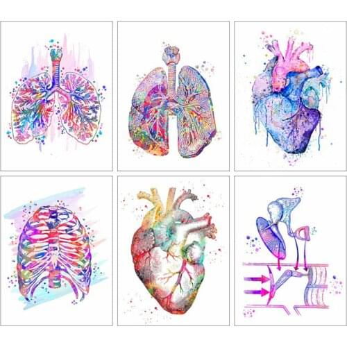 HUACAN Diamond Painting Full Drill Human Organs Mosaic Anatomy Gifts For Doctors Embroidery Handmade Gift