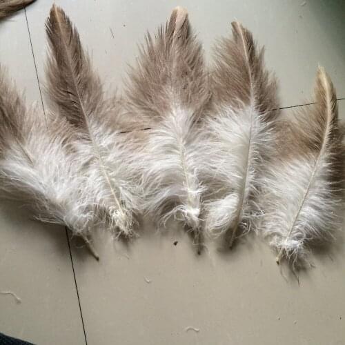 Wholesale perfect 10pcs high quality scare natural Golden eagle velvet feathers 10-12inch/20-30cm Decorative diy collect