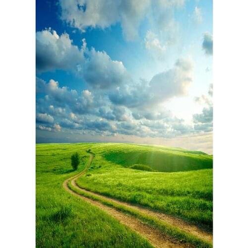 Prairie Footpath Sunny Photography Background Customized Backdrop Photo Studio for Baby Children Portrait Scenery Photoshoot