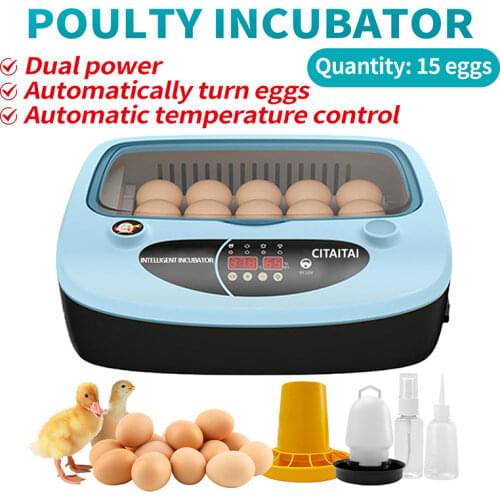 Incubator Automatic 110V/220V Brooder Poultry Fully Automatic Egg Incubator Fully Automatic Commercial Hatching Machine 15 Eggs