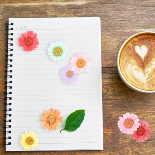 DIY Phone Decoration Artificial & Dried Flowers Pressed Dried Natural Flower Epoxy Resin Nail Craft