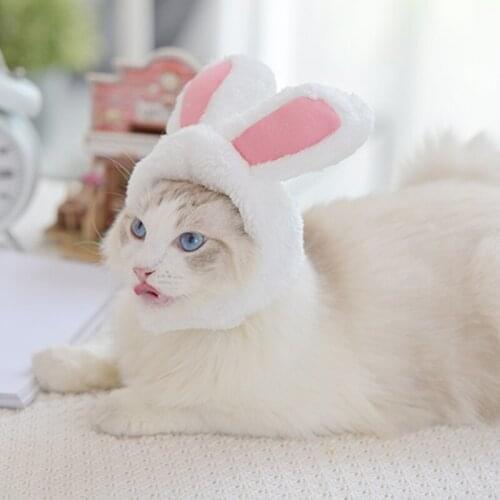 Cat headwear hat, cute rabbit dress up headwear hat, kitten hat accessories are fun and warm
