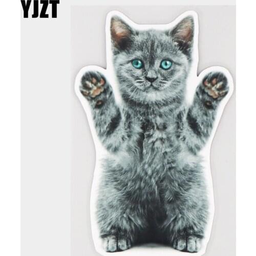 YJZT 10×15.7CM Kitten Raising Hand Funny Animal Bumper Scratch Cover Decoration Car Sticker Decals 21A-0224