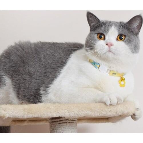 Colorful Cat Collars With Bell Lovely Kitten Collars 4 Designs Currently Available