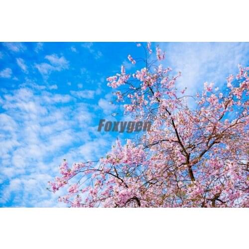 Beautiful pattern PVC stretch ceiling fabric good quality design for sitting room