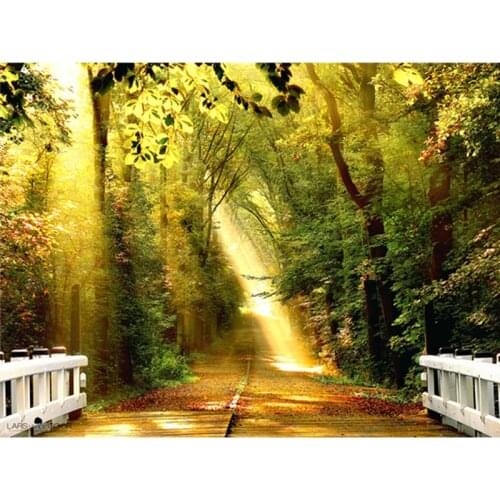 Sunshine forest Hot Sale Diamond Embroidery, Diamond Painting, Picture Of Rhinestones Full Square Diamond Mosaic Kits 6178R