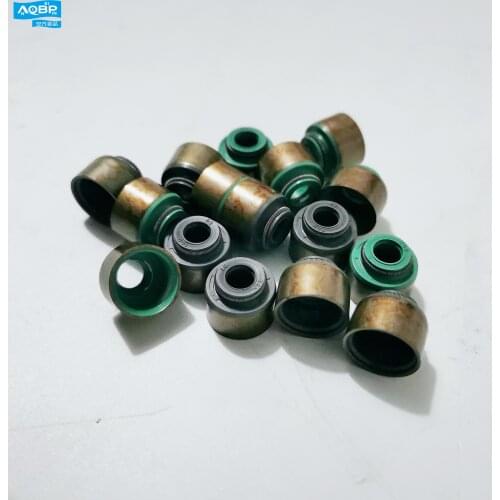 Car parts oe number 1003206GA for JAC Rein Valve seal