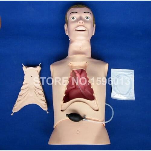 Nasogastric Feeding,Tracheostomy Care and Intubation Training Simulator,Half Body Nursing Manikin