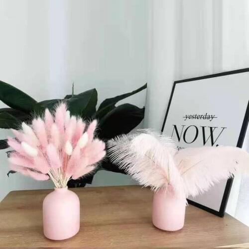 Dried Flower Pampas Grass Pink Plume Bohemian Nordic Decornatural Room Decor Wedding Supplies Art Table Centerpiece Decoration