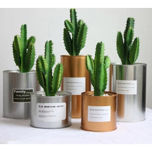 Artificial Potted Green Cactus Tropical Fake Plants Suitable For Decoration Sun Decorate Balcony Living Room Background Wall