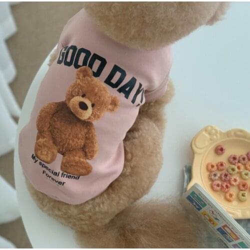 Fashion Winter Dogs Hoodies Cartoon Bear Designer puppy clothes Girls Sweatshirt Jacket Small Medium Chihuahua Outdoor Dog Cloth