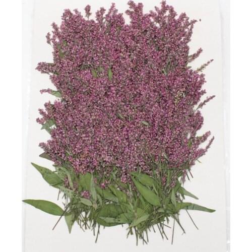 250pcs Dried Pressed Flower Ludwigia prostrata Roxb. For Epoxy Resin Pendant Necklace Jewelry Making Craft DIY Accessories