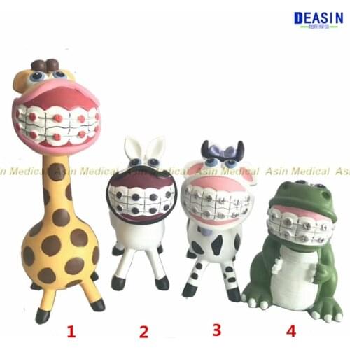 High quality Cute animals Orthodontic dental clinic ornaments Teeth desktop showcase decoration Clinic decorations