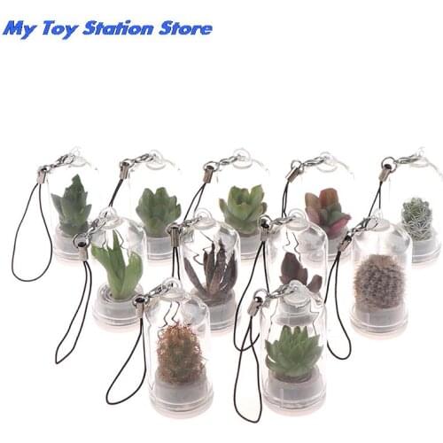 1pc Cactus Miniature Succulent Cactus Terrarium Wearable Necklace Live DIY Succulent Plant Pendant Random Style