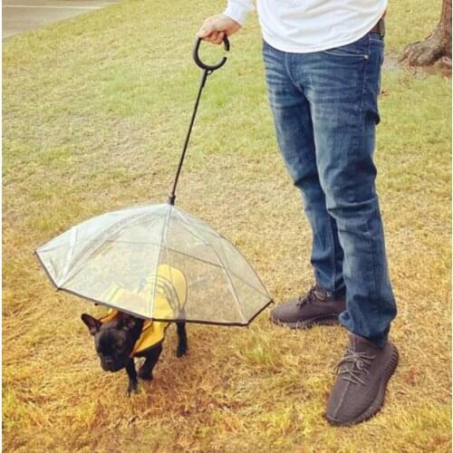 2021 Upgraded Telescopic Handle Umbrella Dog Walking Waterproof Clear Cover Built-in Leash Rain Sleet Snow Pet Umbrella