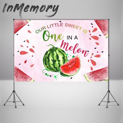 Watermelon Party Backdrop One in a Melon Birthday Party Photography Background Kids First Birthday Pink Party Banner Photocall