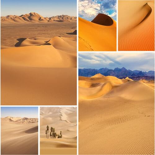 Photo Backdrop Desert Computer Printed Fond Photocall Background for Children Baby Portrait Scenic Photophone Photography Props