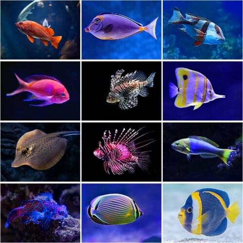 DIY Diamond Embroidery Beads Sets Painting Full Round Square Resin Mosaic Cross Stitch Kits Wall Art Handcraft Colorful Fishes