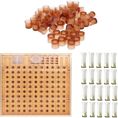 1 Set Beekeeping Tool 120 Cell Cup Large Hệ Thống Feeding Apiary Complete