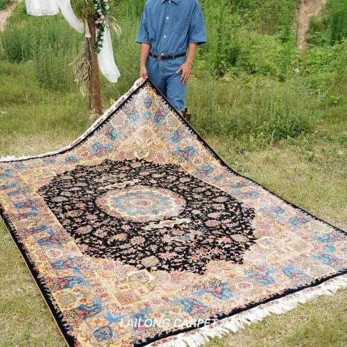 6'x9' Villa Handknotted Silk Area Eug Medium Palace Indoor Handmade Carpet (ZQG257A)