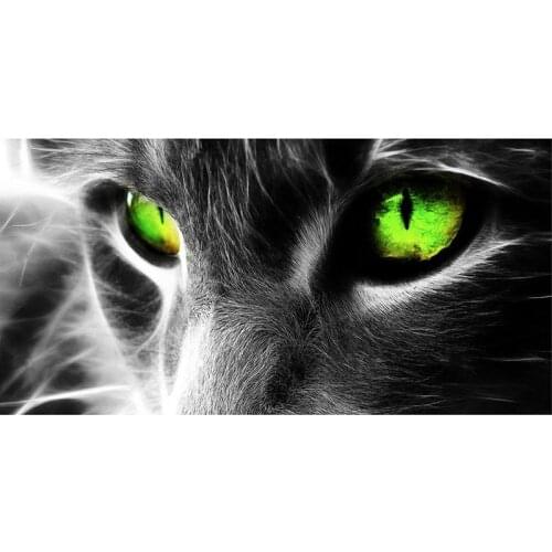 Diamond embroidery Cats eye pictures of rhinestones diy diamond painting full square round mosaic display accessoriesZP-3668