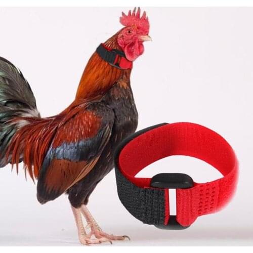 2Pcs Chicken Collar Anti Crow Noise Free Rooster Belt Adjustable Buckle Poultry Supplies for Ducks Farm Animal Supplies