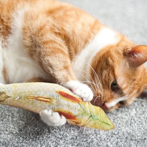 20cm Catnip Catmint Cat Favor Simulation Fish Cat Toys Fish Shape Scratching Post Short Plush For Pet Product Supplies Durable