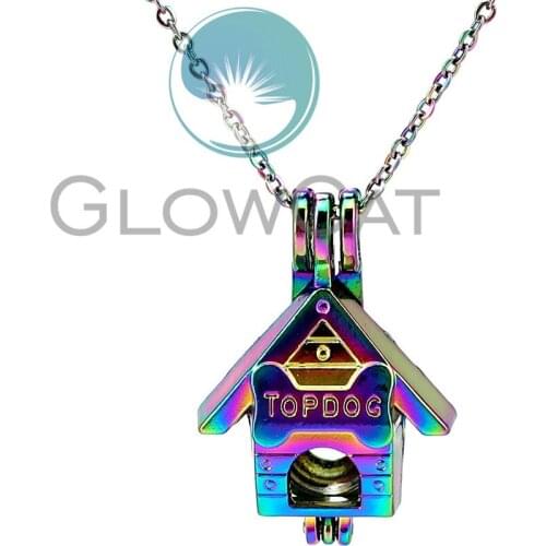 CC948 Rainbow TOP DOG House Beads Cage Pendant Essential Oil Diffuser Oyster Pearl Cage Locket Necklace