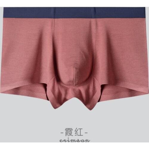 2020 New 4pcs/Lot Mens Underwear Boxers Homme Male Modal Underpants Shorts Boxer Shorts Sexy Man Panites Boxer Cotton panties