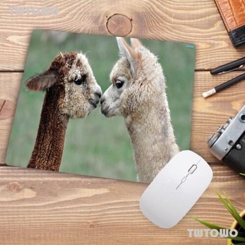 Big Promotion Cute Beautiful Anime Llama Professional Mouse Pad Small Size Computer desktop Game Mouse Pad 22X18CM
