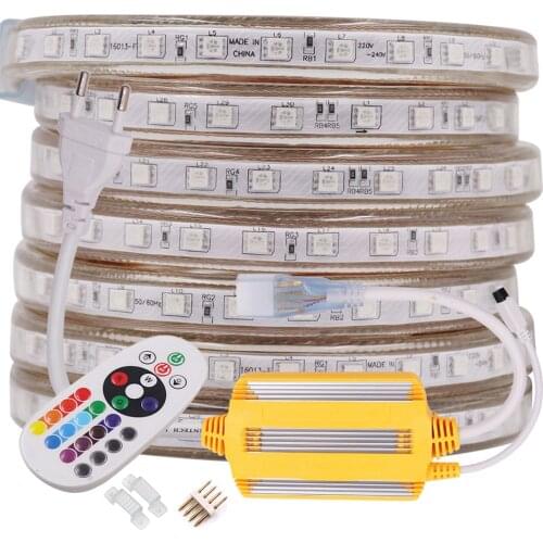 High Brightneer 5050 LED Strip Light 220V Remote Control RGB 60LED/m Flexible LED Ribbon Home Decoration Waterproof Controller