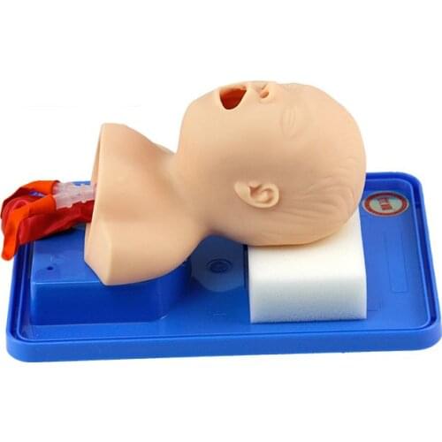 Neonatal tracheal intubation model human intubation teaching simulation model