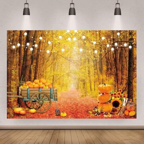 Autumn Harvest Season Pumpkins In The Woods Photography Backgrounds Birthday Party Backdrops Custom Banner Photo Studio Poster