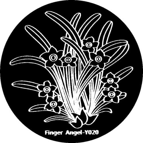 2016 NEW HeHE New Stamping Plate hehe16 Cartoon Anime One Piece Skull Pirate Nail Art Stamp Template Image Transfer Stamp