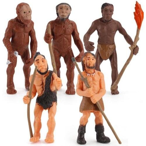 Human Evolutionary History Displays Figures Models 5pcs/Set Australopithecus To Homo sapiens Kids Educational Toys Gifts