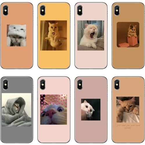 Cute Cat Painted Transparent Phone Case For iPhone 12 11 Pro Max Mini XS Max XR X 8 7 Plus 6 6S Plus 5 5S SE 2020
