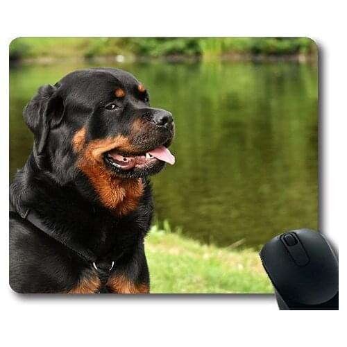 Golden retriever puppy dog,Rottweiler Purebred Dog Animal Dog Peaceful Pet00,dogs mouse mat